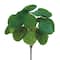 24 Pack: Green Watercress Leaf Bush